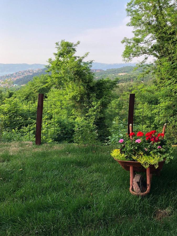 Dag Evi ,2 Oda, Lake View, Fireplace Jakuzi,6 Person Сапанджа Екстериор снимка
